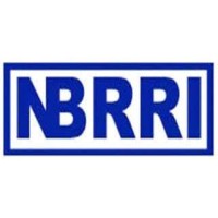 Nigerian Building and Road Research Institute (NBRRI) logo - Similar company to Blacktech