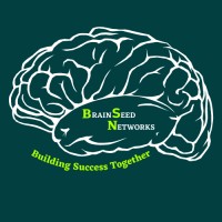 BrainSeed Networks logo - Similar company to Pragati Bazzar