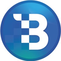 BITV Media Group logo - Similar company to Startup Consultant