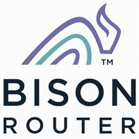 BisonRouter logo - Similar company to Arraynetworkskk
