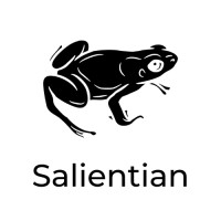 Salientian logo - Similar company to Nvidia Joint-Lab On Mixed Reality, Nvidia Technology Centre