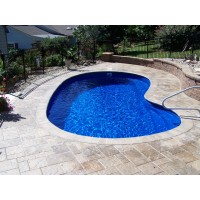 Nemo Pools and Spas logo - Similar company to Sunbather Pool Heating