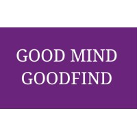 GOODFIND TECH SOLUTIONS logo - Similar company to Good Find Solutions