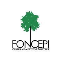 Foncepi Natural Waxes Ltda logo - Similar company to Blu