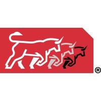 The Bulls Run Group