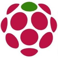 raspberrysolution logo - Similar company to Wisdom Technologies
