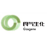 Gasgene logo - Similar company to D-Crbn