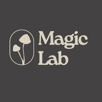 Magic Lab - L'alternative au café qui soutient ton cerveau logo - Similar company to Magic Baie
