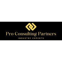 Pro Consulting Partners PCP logo - Similar company to Now Heaven