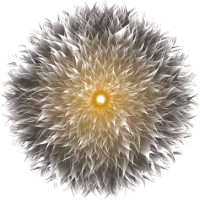 Lia Vin Creative Design Agency logo - Similar company to Full Circle Design Studio