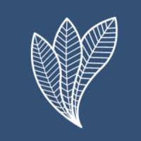 Digital Shape Technologies logo - Similar company to Immersive Design Studios