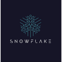 Snowflake logo - Similar company to Snowflake Network