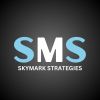 SkyMark Strategies logo - Similar company to Adnix - Web Design And Digital Marketing