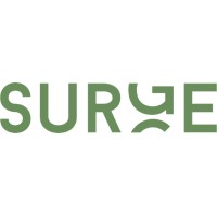 SURGE advisory logo - Similar company to Pfm Works