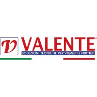 Valente Pali logo - Similar company to Brera Properties