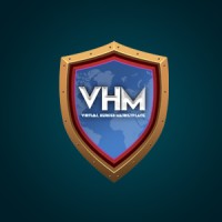 Virtual Heroes Marketplace logo - Similar company to Digital Heroes Academy
