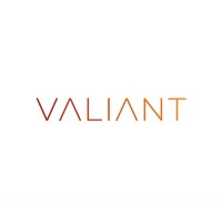 Valiant Partners