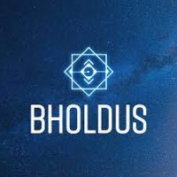 Bholdus Career logo - Similar company to Phoenix Crypto
