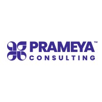 Prameya Consulting logo - Similar company to Dc Innovision
