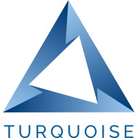 Turquoise Marine Services logo - Similar company to Egelift Asansör Mühendislik San. Ve Tic. Ltd. Şti.