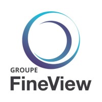 FINEVIEW logo - Similar company to Synapse Sante