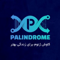 Palindrome logo - Similar company to Techazma Co.