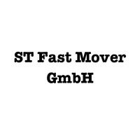 ST Fast Mover GmbH logo - Similar company to Belmilan
