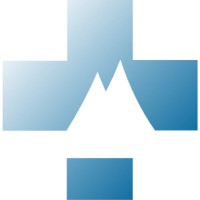 Peak Diagnostic logo - Similar company to Mechi