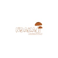 Ndaka Mushrooms and Processing logo - Similar company to Pebl