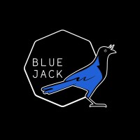 Blue Jack logo - Similar company to Borderless