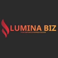 Lumina Biz logo - Similar company to Lfl Partners
