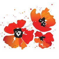 Narcissus Florals logo - Similar company to Capitol Extracts