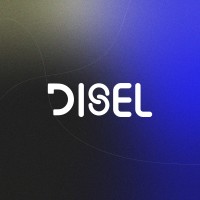 DISEL Consulting logo - Similar company to Comunica Group