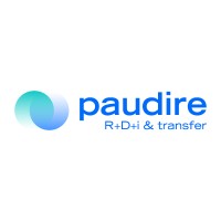 Paudire. Consultora de Innovación logo - Similar company to Aidit