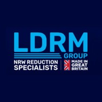 LDRM Group logo - Similar company to Detection Services Pty Ltd