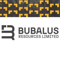 Bubalus Resources logo - Similar company to Borg Geoscience
