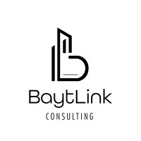 Baytlink Consulting logo - Similar company to Group One Project Advisors