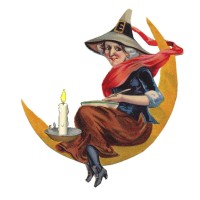 Waxing Moon Enchantments logo - Similar company to Direct Success, Inc.