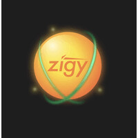 zigy logo - Similar company to Zaytech Software