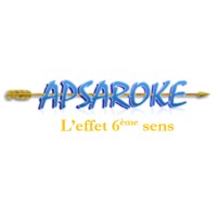APSAROKE logo - Similar company to Gfi