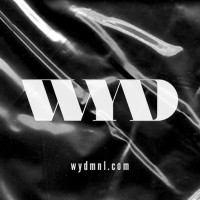WYD Productions, Inc. logo - Similar company to Bigbulb Design Lab