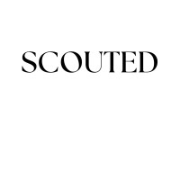 SCOUTED Travel logo - Similar company to Bridge Representation