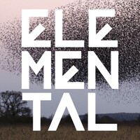 Elemental