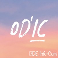 Bde Du Dut Information-Communication D'Illkirch