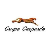 Reclutamiento Guepardo logo - Similar company to Target Rh Mx