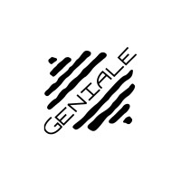 Grupo Geniale logo - Similar company to Grupo Novo Dia