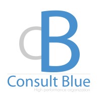 Consult Blue logo - Similar company to Consult-Stat: Complete Statistical Services