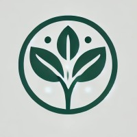 NALSYA نالسيا logo - Similar company to Calimaroc