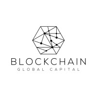 Blockchain Global Capital logo - Similar company to Steadefi