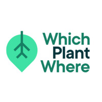 Which Plant Where logo - Similar company to Mosaic Insights